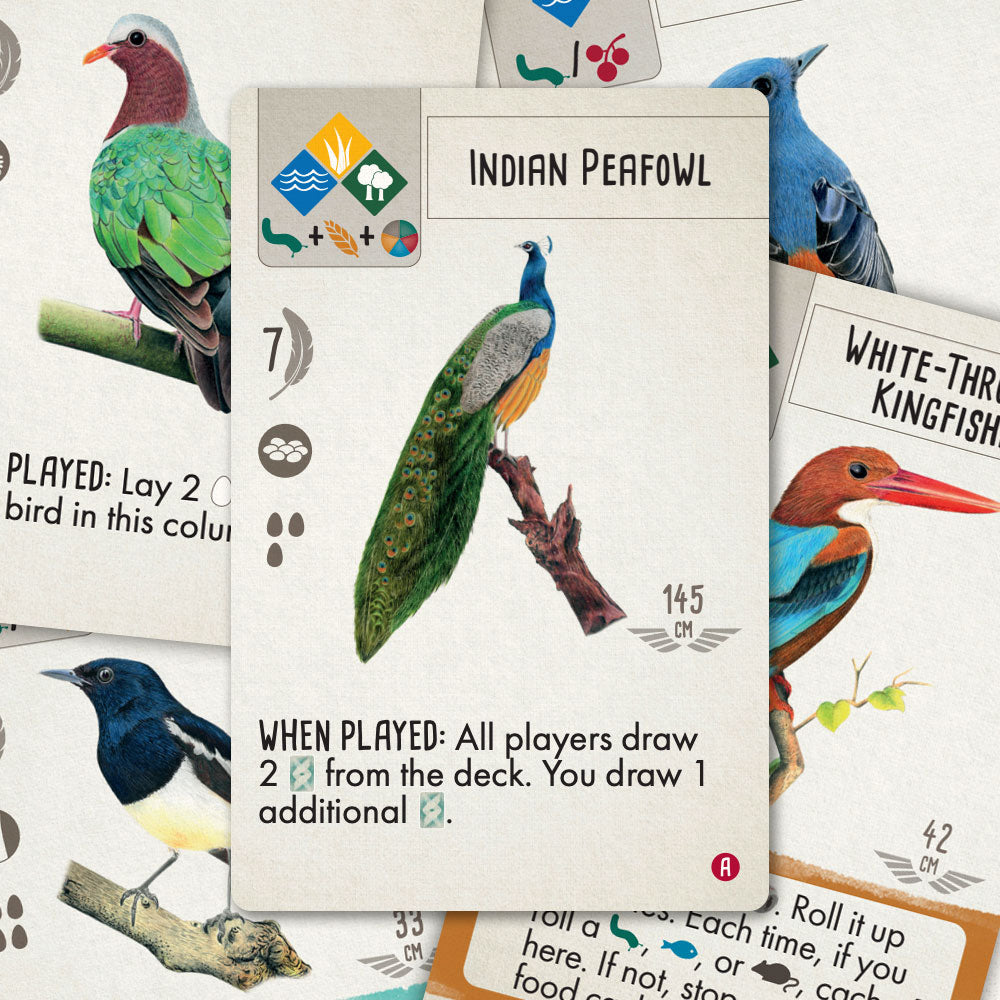 Wingspan Vision-Friendly Cards: Asia Expansion – Stonemaier Games (Europe)